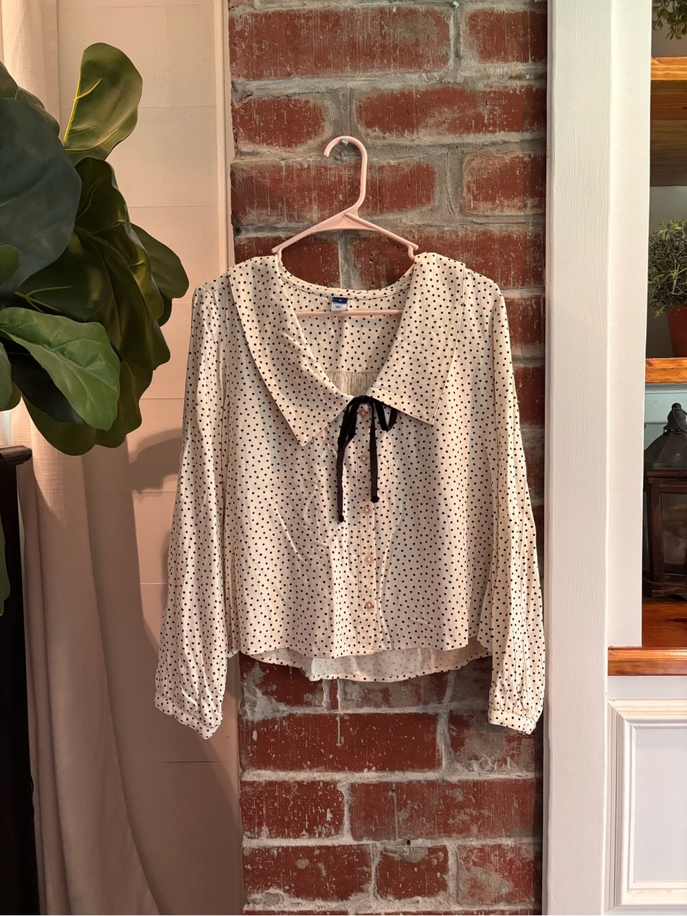 Polk Dot Blouse